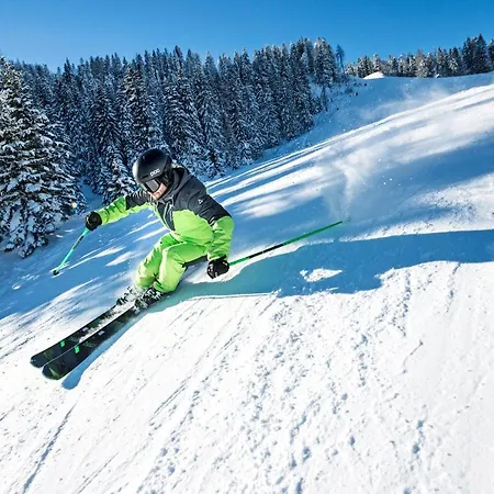 Διαμέρισμα Weitental *