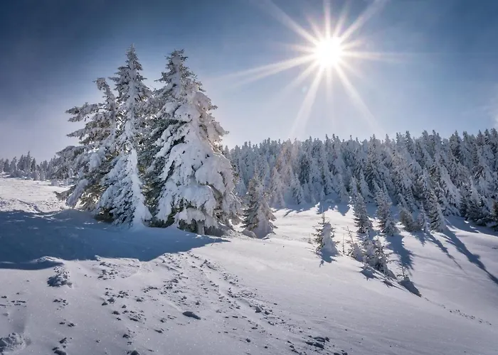 Weitental Apartment *